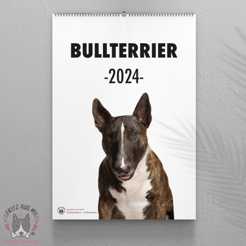 Bullterrier Kalender 2024